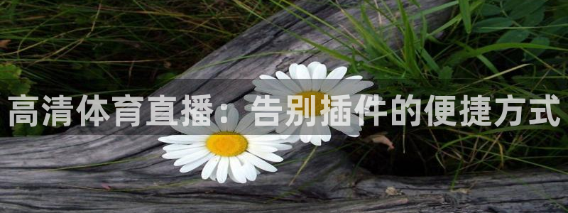 斗球直播ufc直播