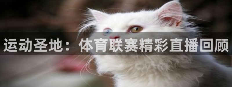 体育新闻